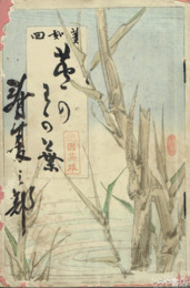 芦の和加葉　あしの若葉