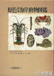 原色日本海岸動物図鑑