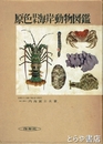 原色日本海岸動物図鑑