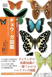 チョウ・ガ図鑑　自然科学ハンドブック