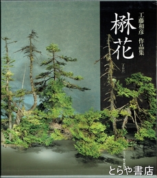 工藤和彦作品集　楙花(まおか)