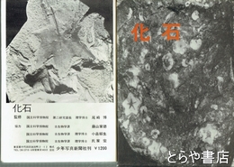 化石　図版42点（40枚）＋別冊解説付