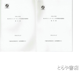 青少年のインターネット利用環境実態調査報告書　令和２年度・令和４年度