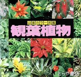 観葉植物　山渓カラー名鑑