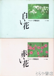 白い花　赤い花