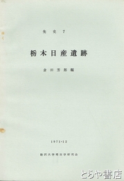 栃木日産遺跡　先史７