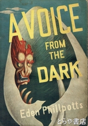 闇からの声