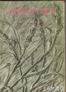 宮本百合子読本