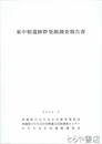 東中根遺跡群発掘調査報告書