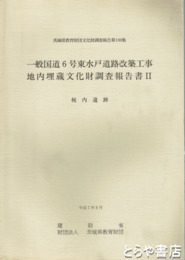 梶内遺跡　茨城県教育財団文化財調査報告１００　一般国道六号東水戸道路埋文調査報告書２