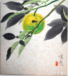 菅谷晴亮色紙　柚