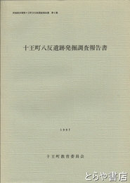 十王町八反遺跡発掘調査報告書