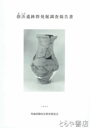 指渋遺跡群発掘調査報告書
