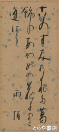 野口雨情歌　「このすみなれた葛飾のあやめの花にまた逢はう」　　　　　　