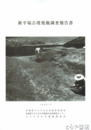 新平塙古墳発掘調査報告書