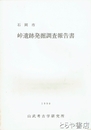 峠遺跡発掘調査報告書
