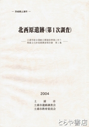 北西原遺跡（第１次調査）