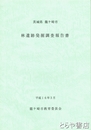林遺跡発掘調査報告書