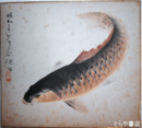 郡司硯田色紙　「鯉」