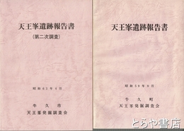 天王峯遺跡報告書　１・２次