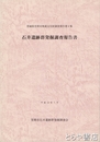 石井遺跡群発掘調査報告書