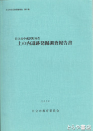 上の内遺跡発掘調査報告書