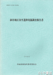 鉢形地区条里遺跡発掘調査報告書