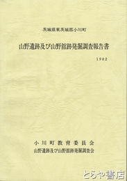 山野遺跡及び山野舘跡発掘調査報告書