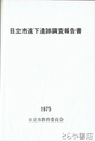 日立市遠下遺跡調査報告書