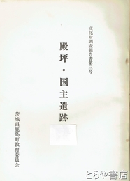 殿坪・国主遺跡　文化財調査報告書３号