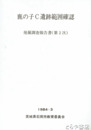 鹿の子Ｃ遺跡範囲確認　発掘調査報告書（第二次）