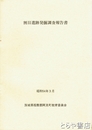 割目遺跡発掘調査報告書