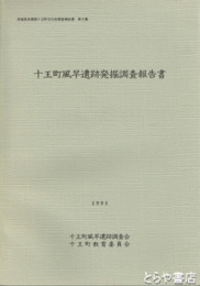 十王町風早遺跡発掘調査報告書