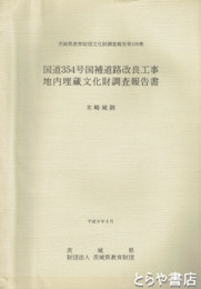 木崎城跡　茨城県教育財団文化財調査報告１０９　国道３５４号国補道路改良工事地内
