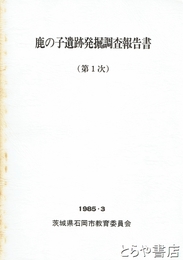 鹿の子遺跡発掘調査報告書　第１次