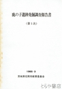 鹿の子遺跡発掘調査報告書　第１次