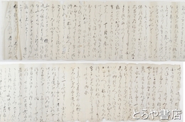 水戸藩第七代藩主徳川治紀の病より臨終瑞竜葬送のこと　長文１５６行　２２５×１５センチ