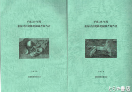 東海村内遺跡発掘調査報告書　平成２８年度・２９年度