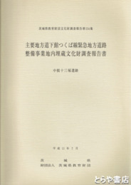 主要地方道下館つくば線緊急地方道整備事業地内埋文報告書　中根十三塚遺跡　茨城県教育財団文化財調査報告１５４集