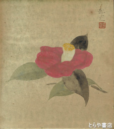 東詔光色紙　「椿」