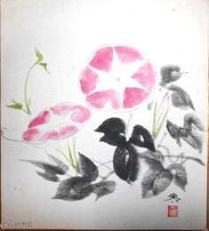高崎興色紙　「朝顔」