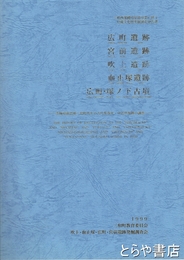 広町遺跡　宮前遺跡　吹上遺跡　血止塚遺跡　　広町・塚ノ下古墳　茨城県三和町所在の古代集落址・中近世跡の調査