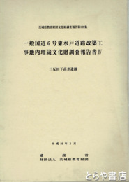 三反田下高井遺跡　上・下　茨城県教育財団文化財調査報告１２８　一般国道６号東水戸道路