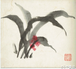 後藤清一色紙　「万年青」　彩色