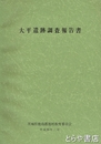 大平遺跡調査報告書