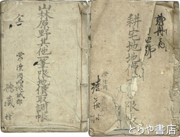 耕宅地地価一筆限帳・山林原野其他一筆限地価取調帳　「耕宅地」は２冊のうちの１号