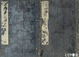 皇朝史略　正続揃　全１０冊