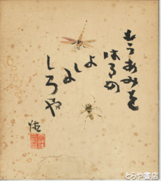 斎藤徳三郎色紙　「虫の話」もうあみをはるの　よしにしろや