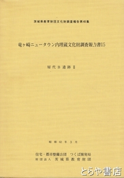 屋代Ｂ遺跡２　茨城県教育財団文化財調査報告４０集　竜ヶ崎ニュータウン内埋蔵文化財調査報告書１５
