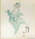 相澤和郎色紙　「菜の花」（仮題）